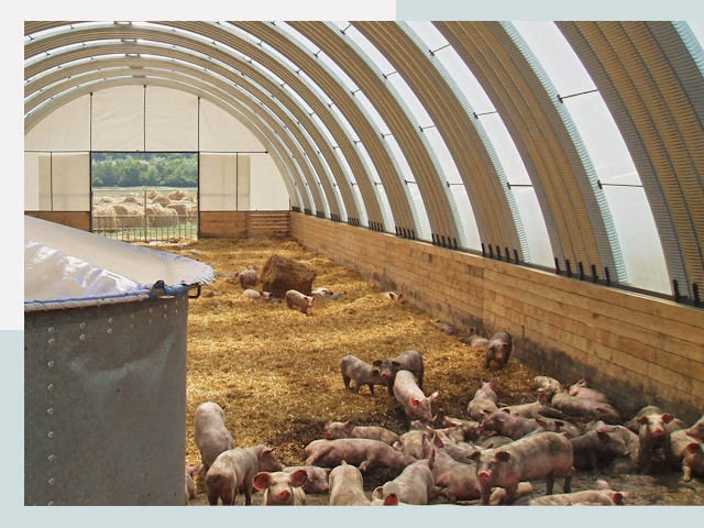 Строительство свинарников в Угличе