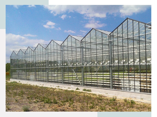 Строительство теплиц в Углич от 625 руб. за м²